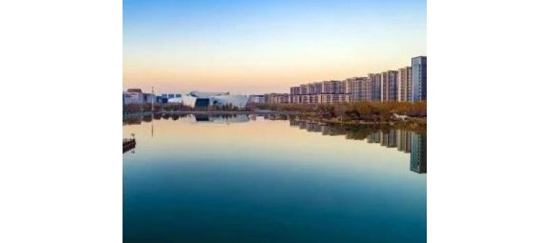 如何解決這五種南美白對(duì)蝦養(yǎng)殖問(wèn)題